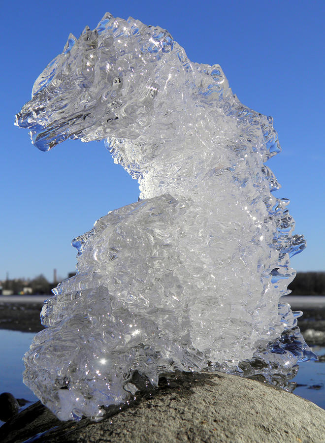 Ice Dragon Photograph by Sami Tiainen
