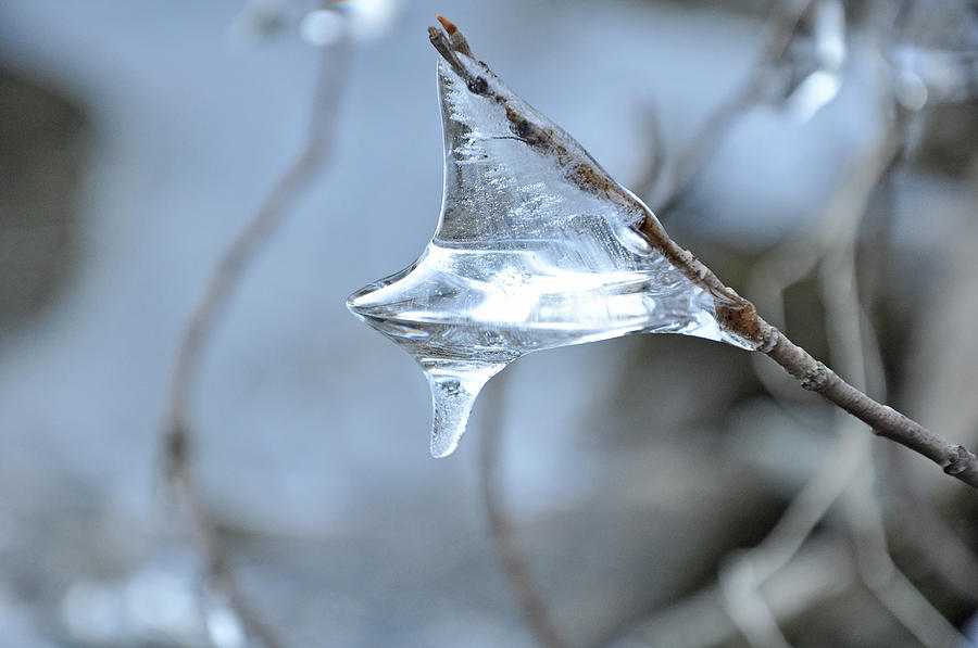 Ice Drop Photograph by Glenn Gordon