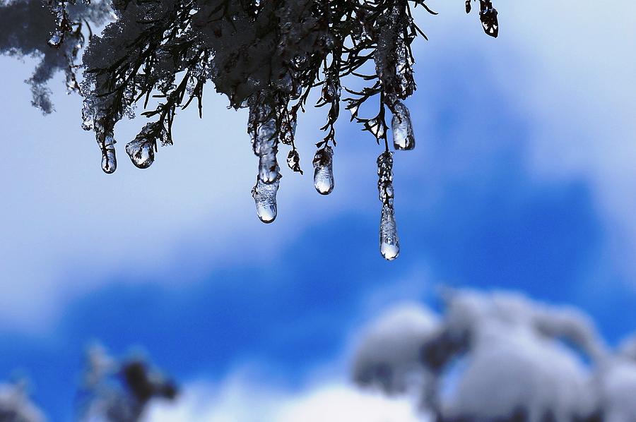 Ice Drops Photograph by Julia Ivanovna Willhite