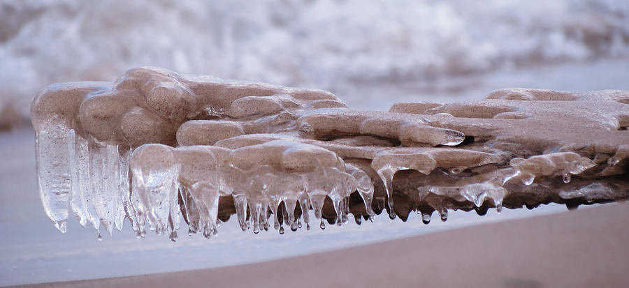 Beach Photograph - Ice Encrusted Sand by Samantha Wagner