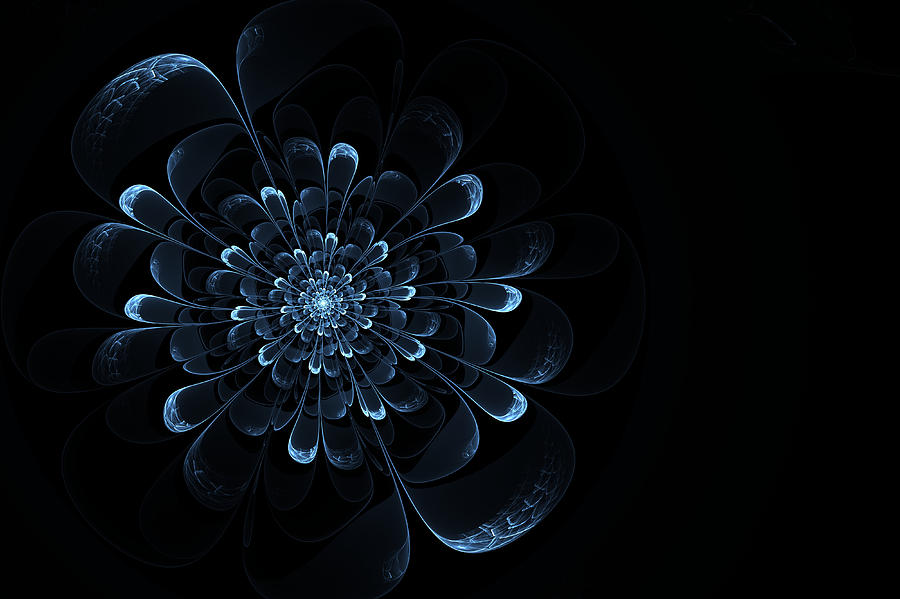 Ice Flower Digital Art