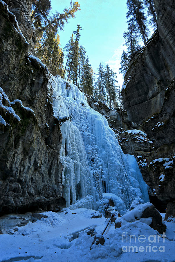 Ice Flows At Jasper Photograph by Adam Jewell