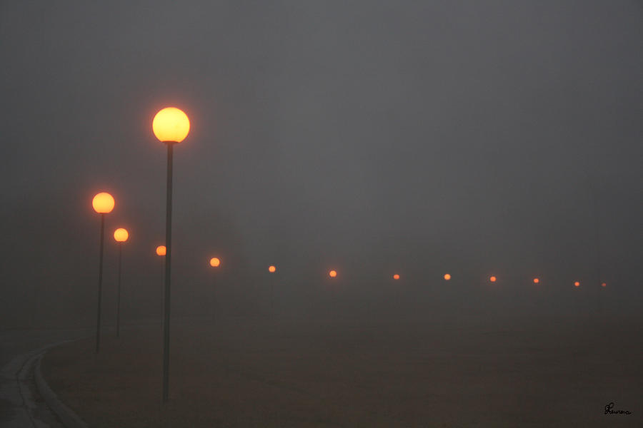 Ice Fog and Park Lamps Photograph by Andrea Lawrence