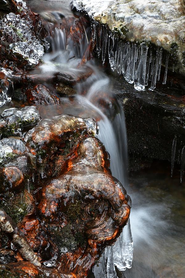 Ice Formations III Photograph by Carol Montoya