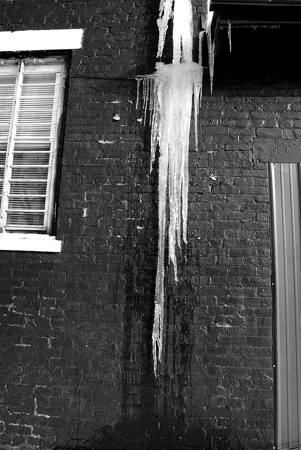 Black And White Photograph - Ice Growth by Renae Sears
