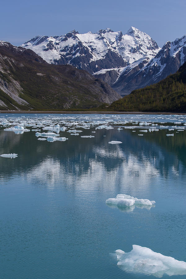 Ice in Glacier Bay Photograph by Steve Burns