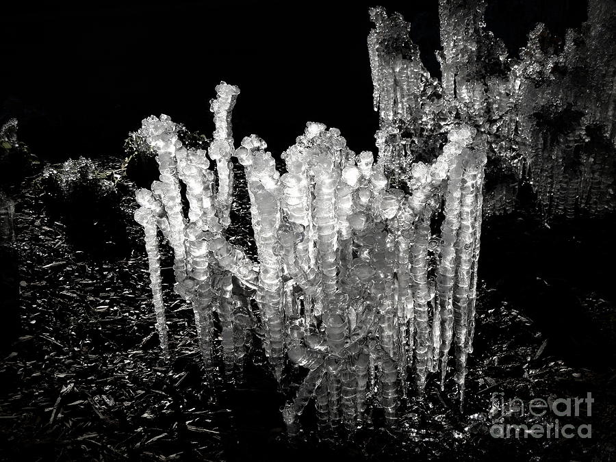 Ice in Shades of Black Photograph by Renee Trenholm