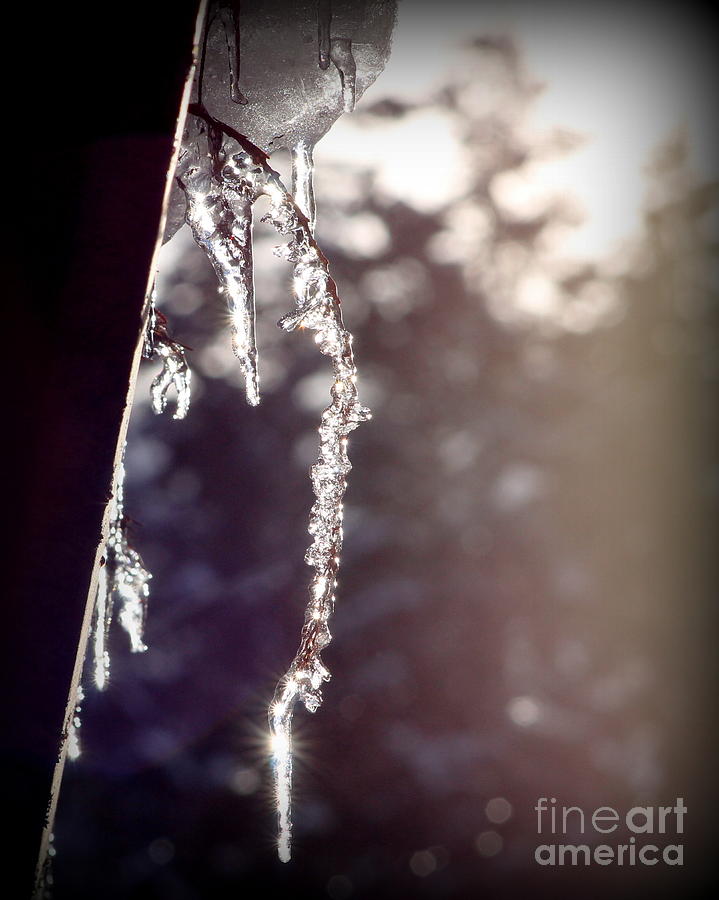 Ice In The Sun Photograph by Leone Lund