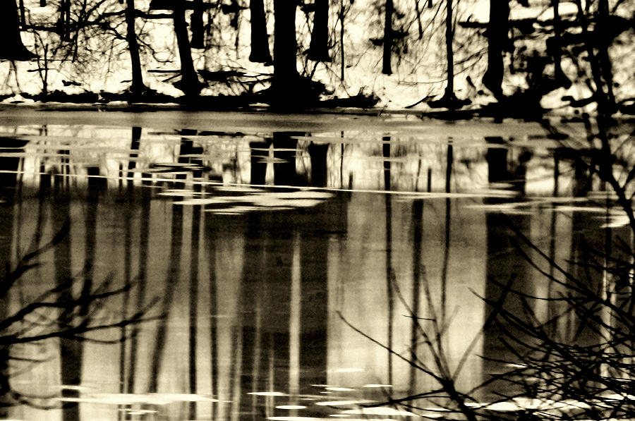 Ice Lake Reflections Digital Art by Aron Chervin