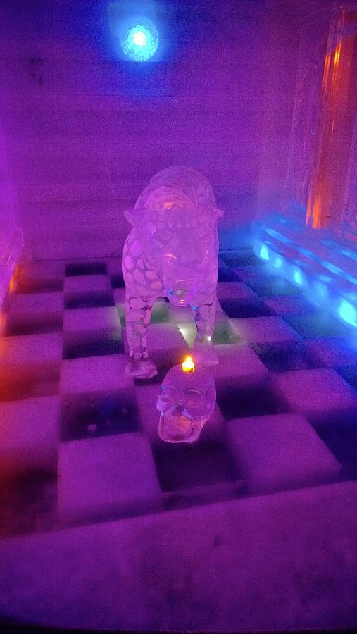 Ice Leopard and Scull on Checkerboard Floor Photograph by DiDesigns Graphics