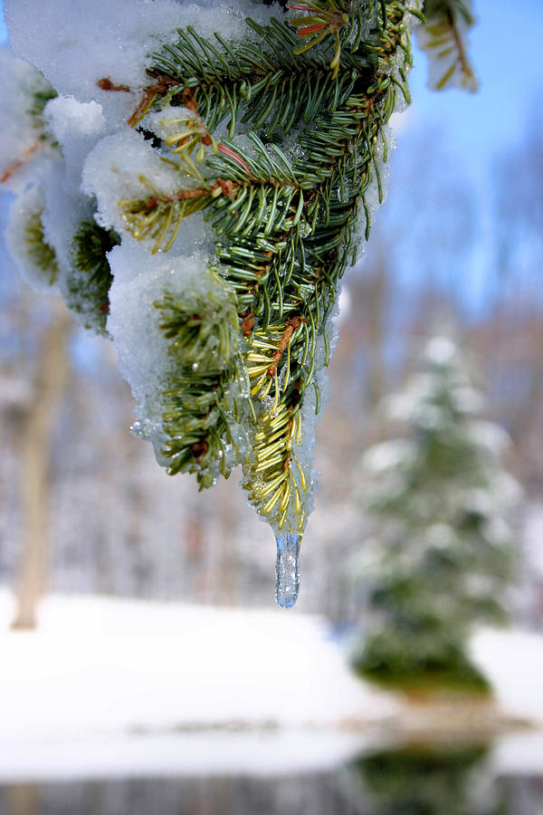 Ice Melt Photograph by Kristin Elmquist