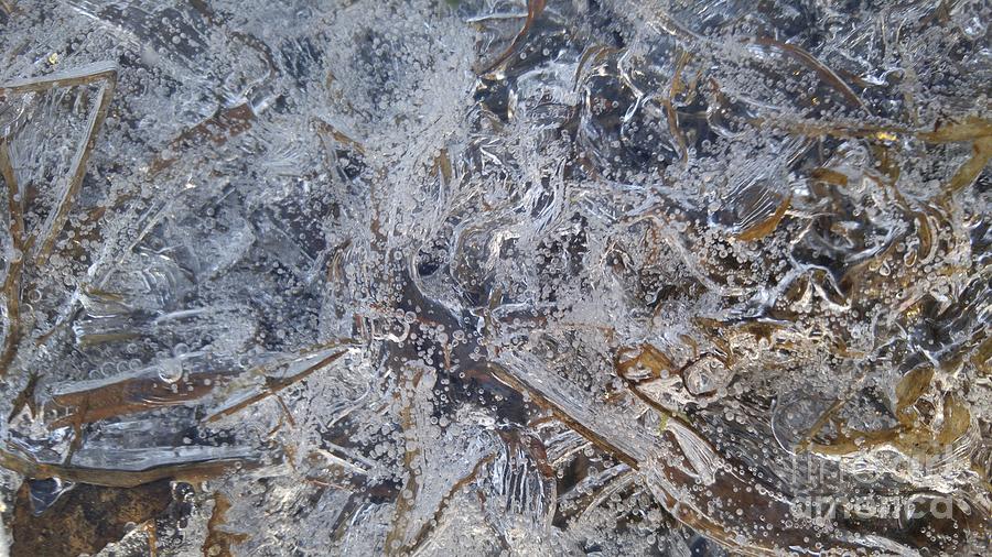 Cool Photograph - Ice of the puddle by Owen Kline