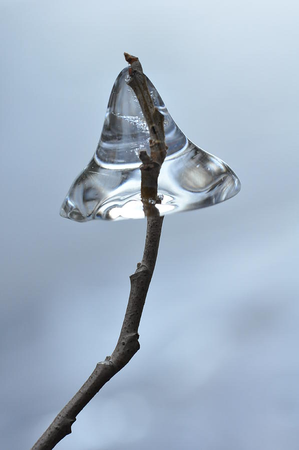 Ice on a Stick Photograph by Glenn Gordon