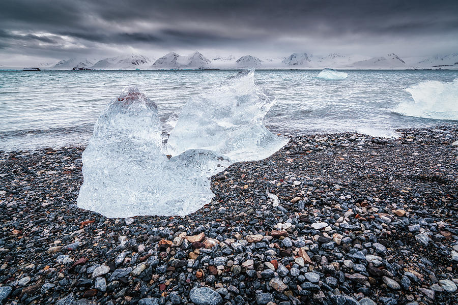 Ice on the beach Photograph by James Billings