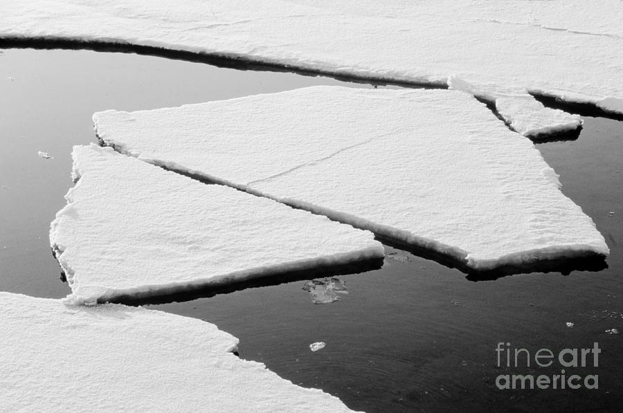 Ice Pans Photograph by Lionel F Stevenson - Fine Art America