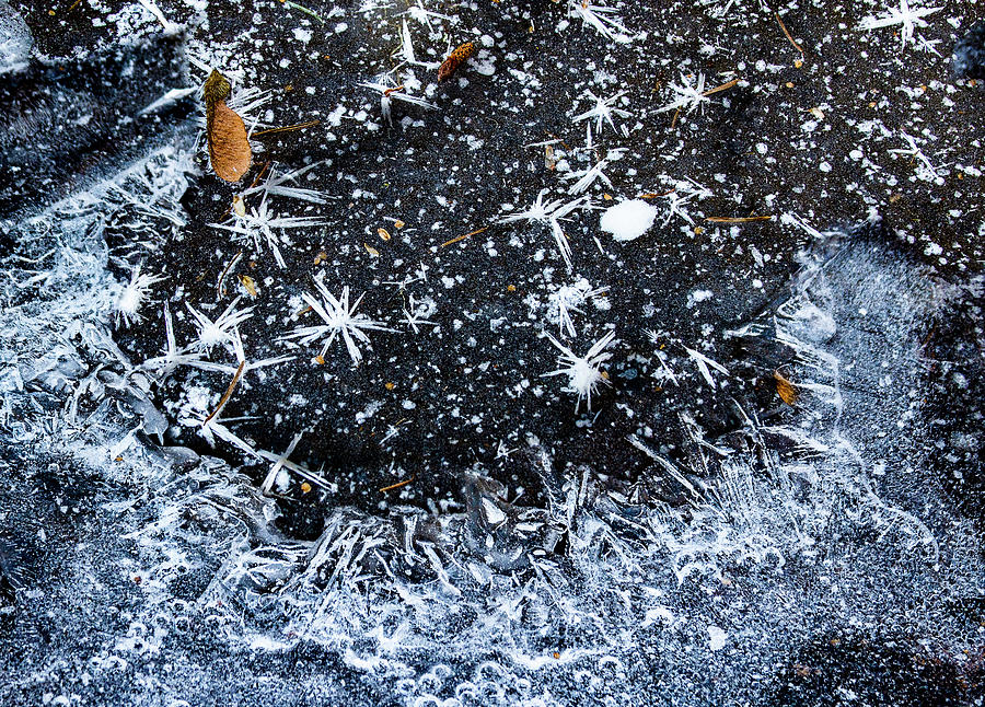 Ice Pattern Photograph by Jean Noren