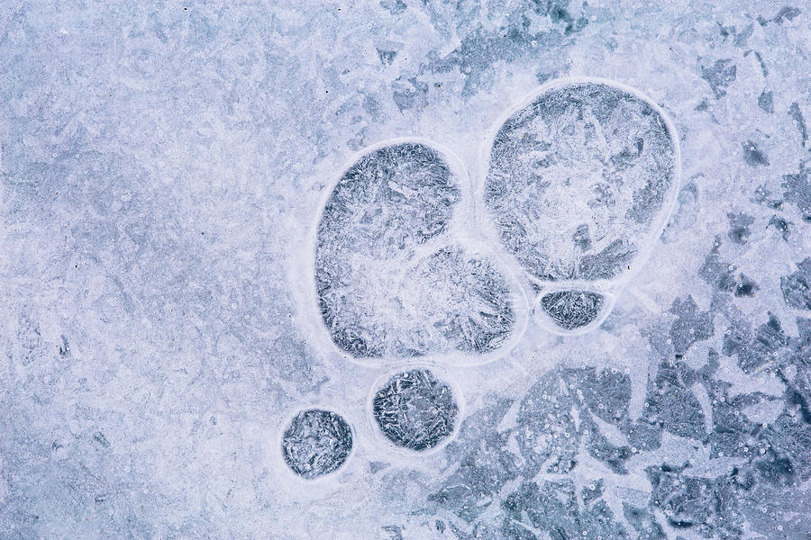 Ice pattern three Photograph by Davorin Mance