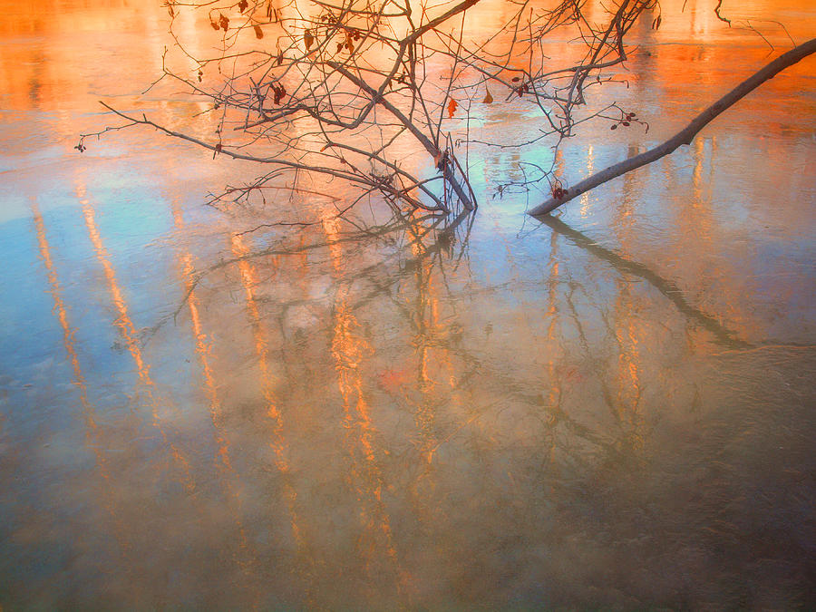 Ice Photograph - Ice Reflections 2 by Tara Turner Ice Photograph - Ice Reflections 2 by Tara Turner
