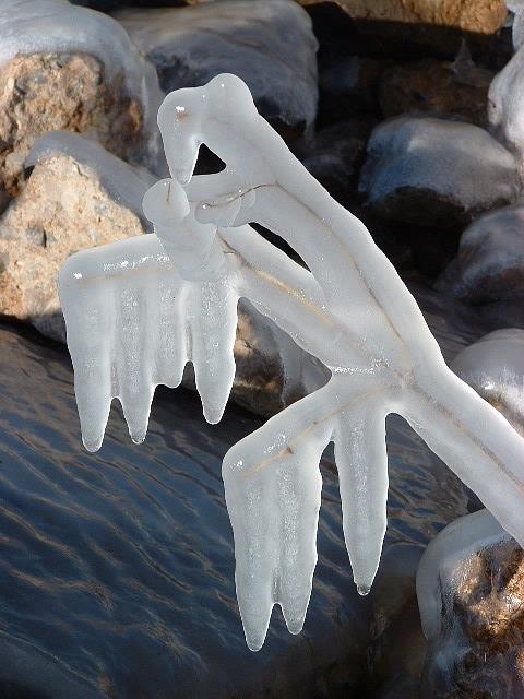 Ice Sculpture Photograph by Annekathrin Hansen