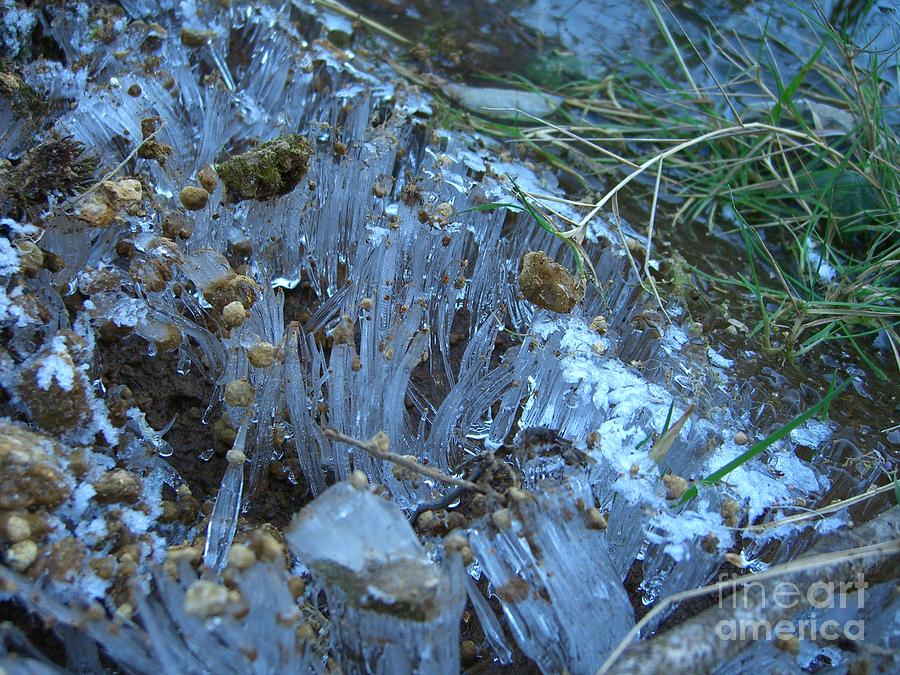 Ice Photograph - Ice Shards by Jim Thomson Ice Photograph - Ice Shards by Jim Thomson