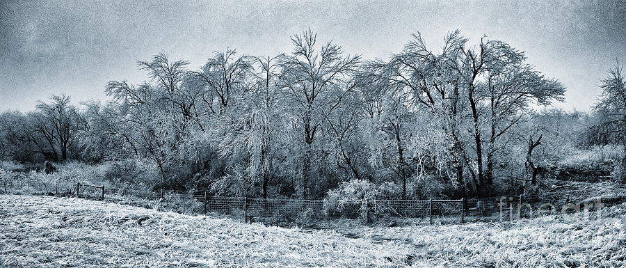 Ice Storm in the Flint Hills No 1 2724 Photograph by Ken DePue