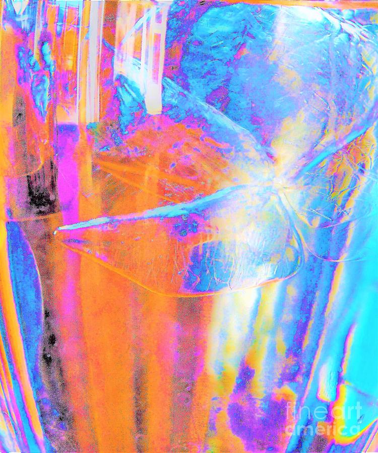 Ice Water in Glass Photograph by Merle Grenz