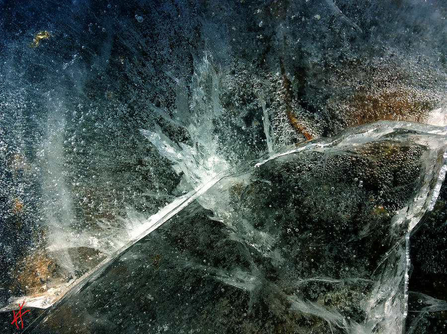 Ice Winter Denmark Photograph by Colette V Hera Guggenheim