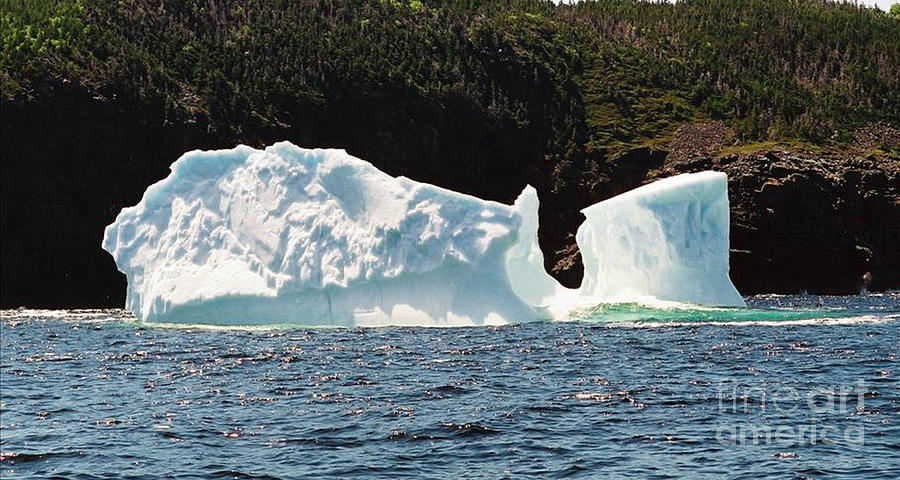 Iceberg Photograph by Donna Brown