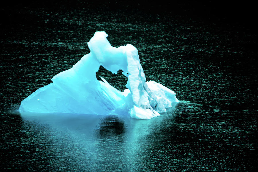 Iceberg Floating In Mud Bay Alaska Photograph by Alex Grichenko