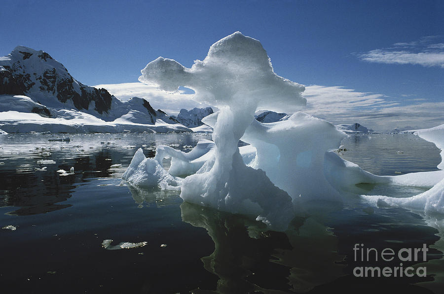 Icebergs, Antarctica Photograph by Robert Hernandez