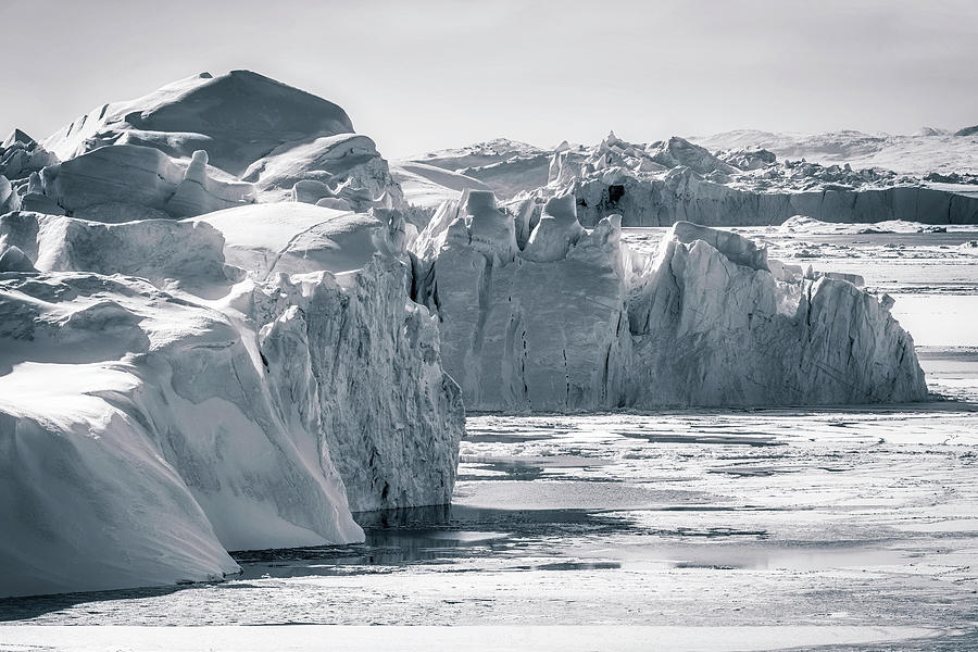 Icebergs Photograph by Joana Kruse