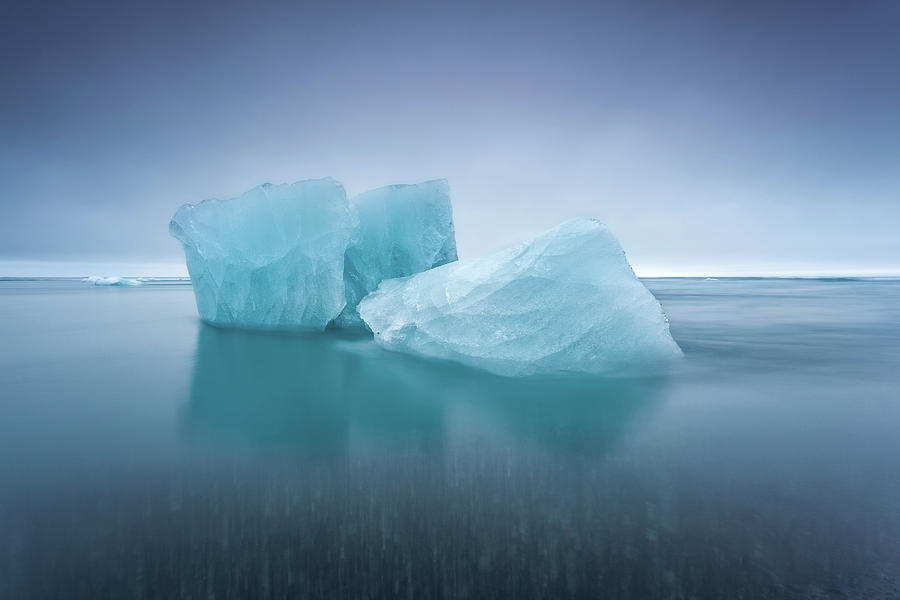 Icebergs Photograph by Jorge Maia