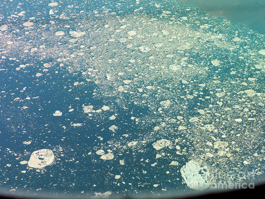 Icebergs near Greenland Photograph by Rod Jones