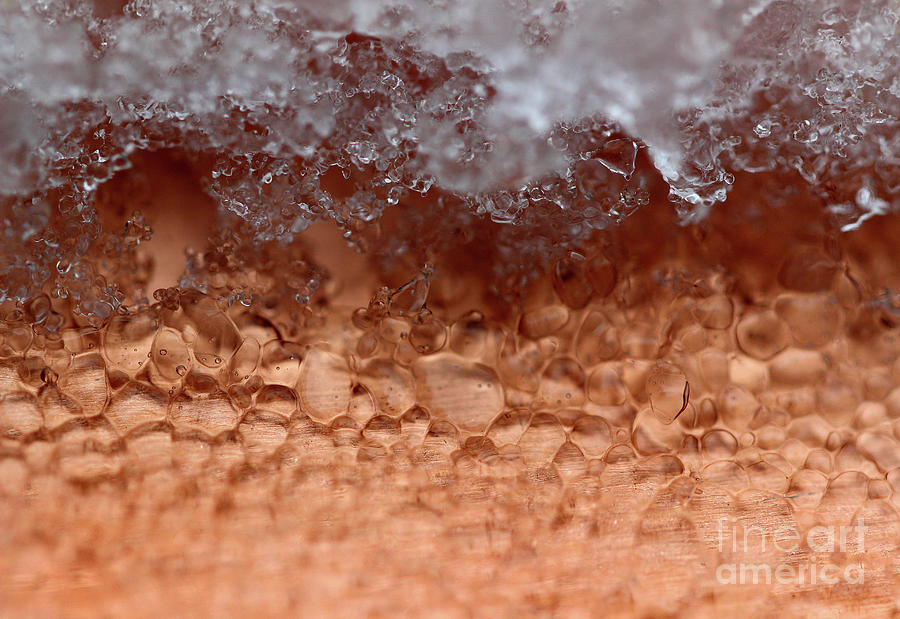 Iced Copper Abstract Photograph by Karen Adams