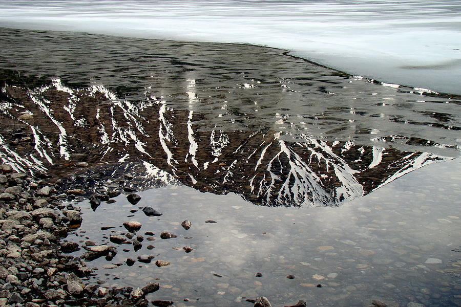 Iced Lake Reflection  Photograph by Rick Rosenshein