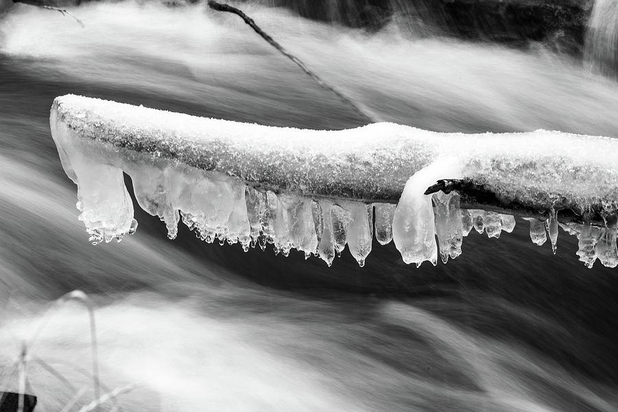 Iced Over Photograph by Rand Ningali