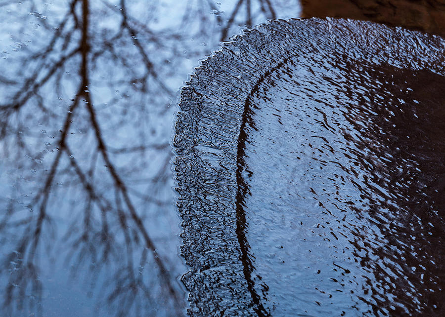 Iced Reflections Photograph by Deborah Hughes