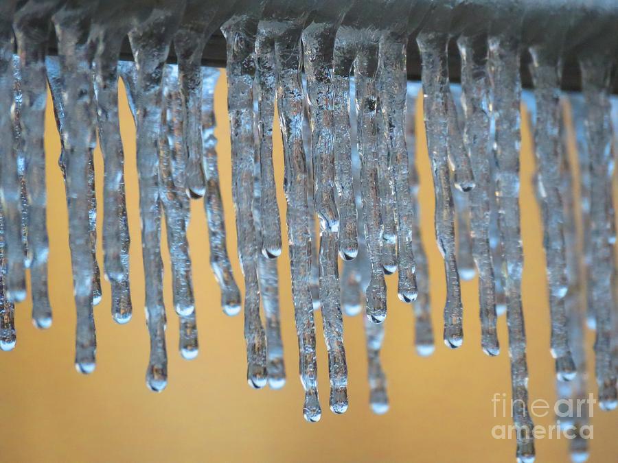 Icedrips Photograph by Rrrose Pix