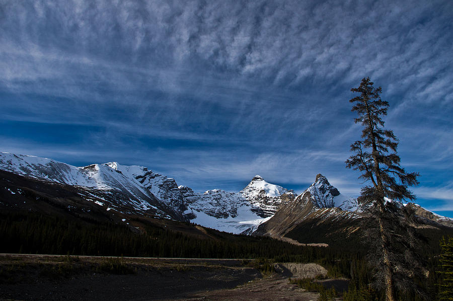 Icefield Parkway 5 Photograph by Jedediah Hohf