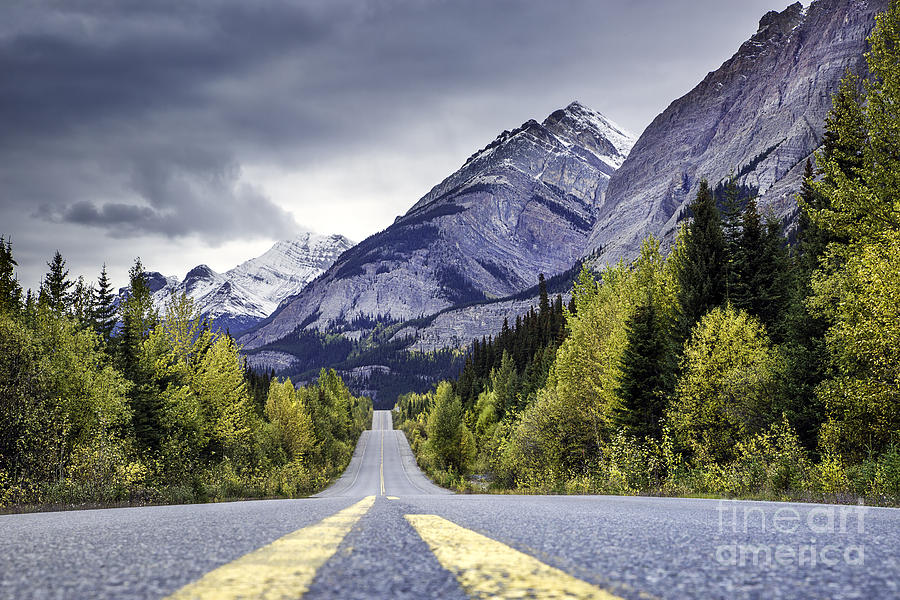 Icefield Parkway Photograph