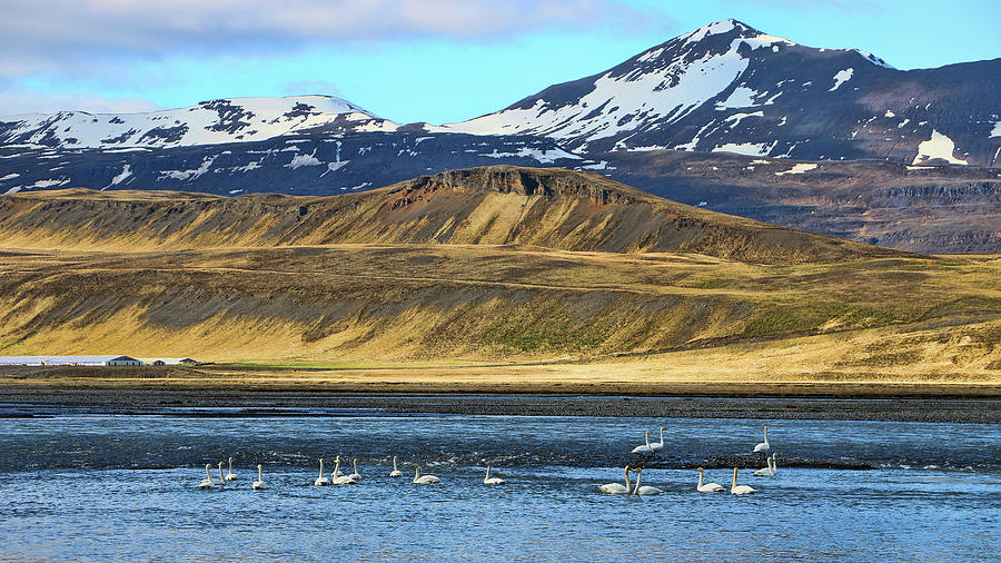 Iceland Landscape # 3 Photograph by Allen Beatty