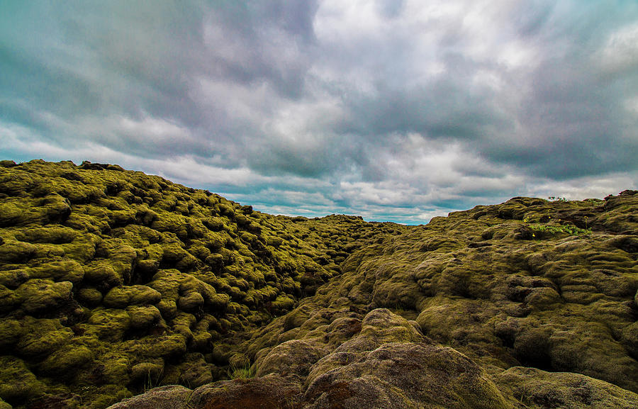 Iceland Moss and Clouds Photograph by Venetia Featherstone-Witty