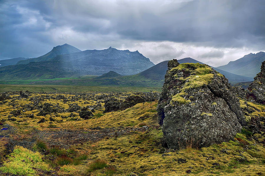 Iceland Moss Covered Lava Photograph by Dave Dilli