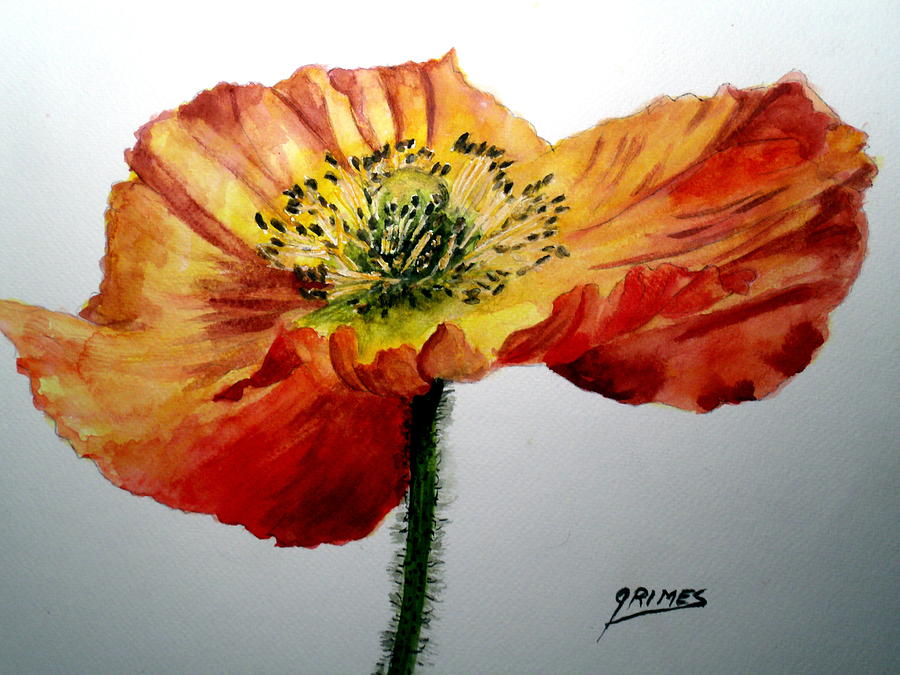 Iceland Poppie Painting by Carol Grimes
