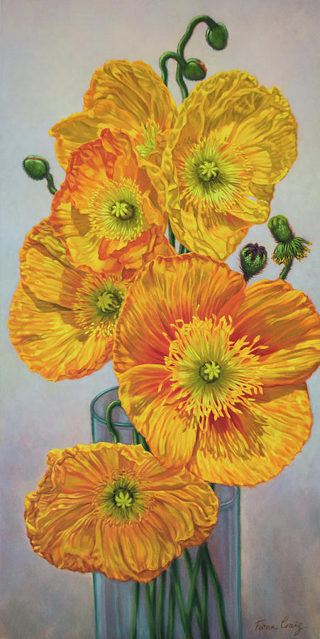 Iceland Poppies 1 Painting by Fiona Craig
