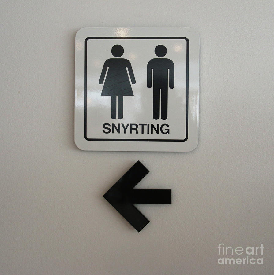 Iceland Restrooms Sign   6192 Photograph by Jack Schultz
