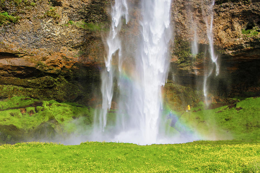Seljalandsfoss Waterfall and Rainbow, Iceland Photograph by Venetia Featherstone-Witty