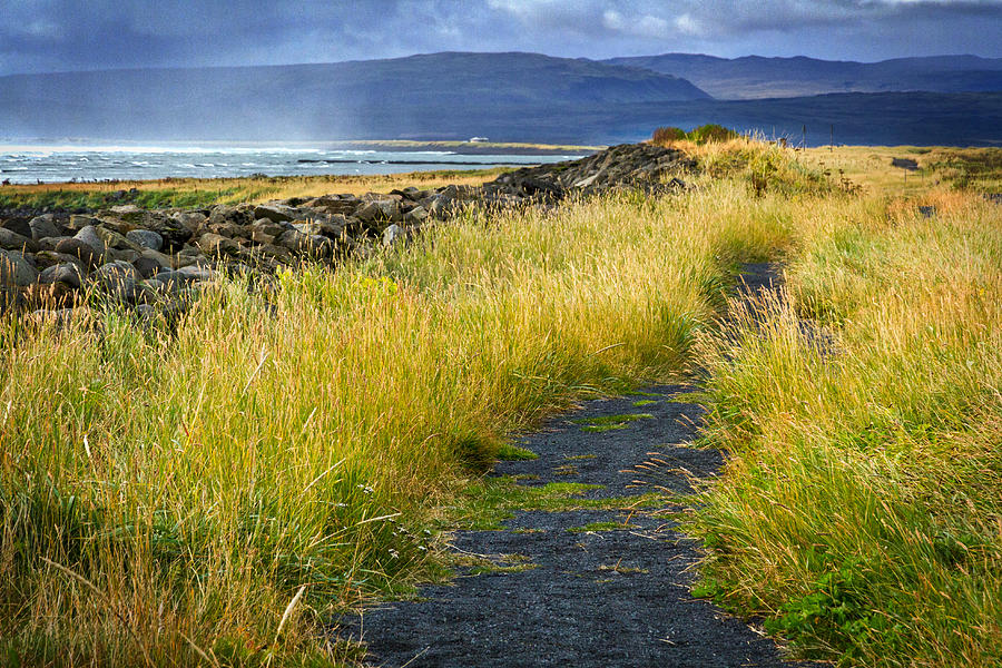 Icelandic Beach Trail Photograph by Stuart Litoff