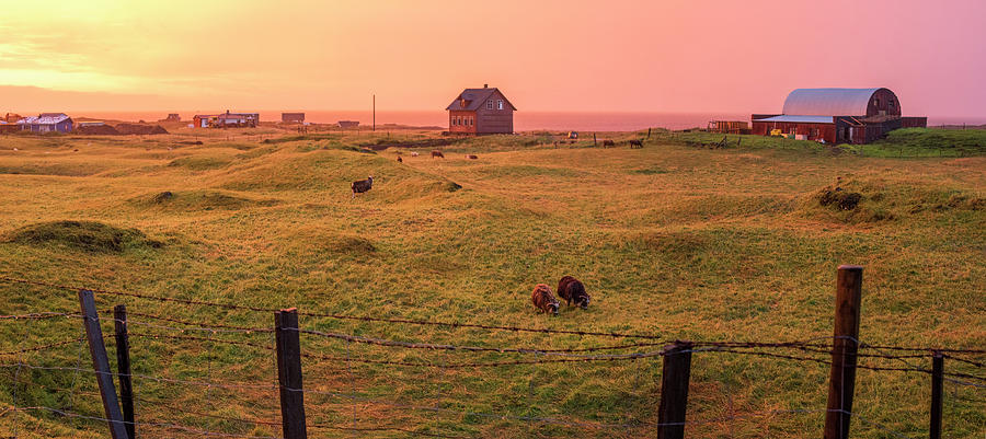 Icelandic Farm during Sunset Photograph by Brad Scott