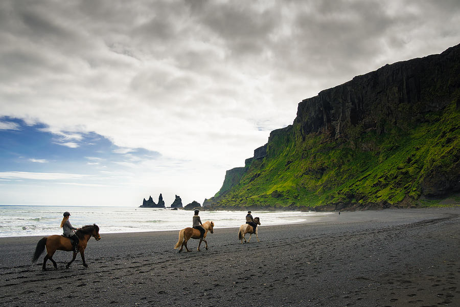 Icelandic Horses on the beach in Vik Iceland Photograph by Matthias Hauser